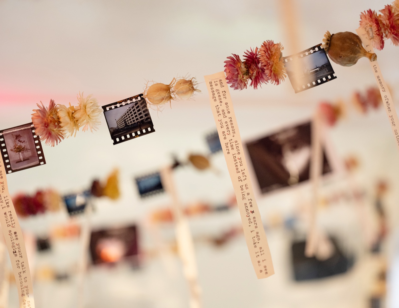 Garlands with film negatives and typed ribbons
