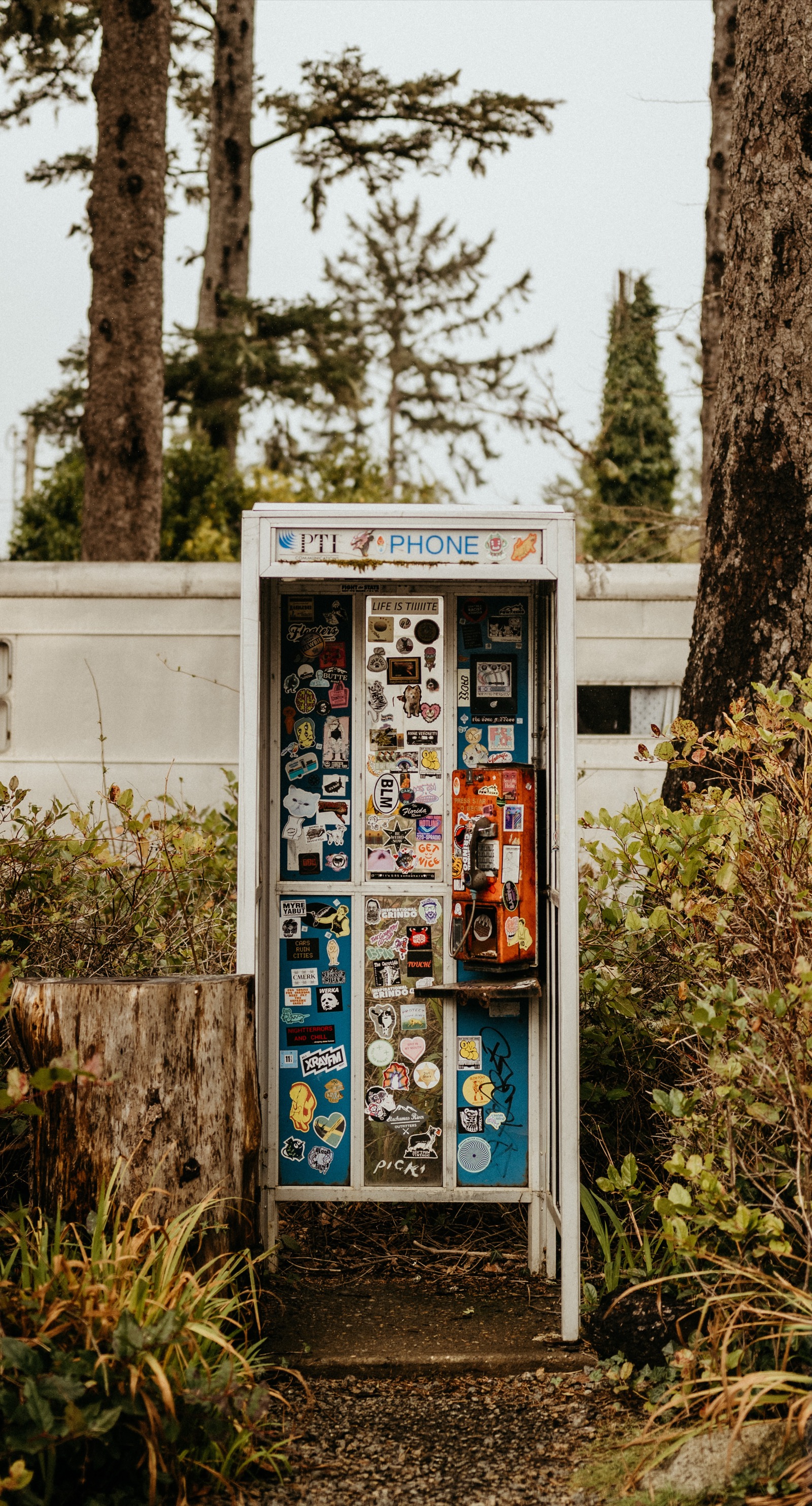 Sticker-covered payphone booth in the trees