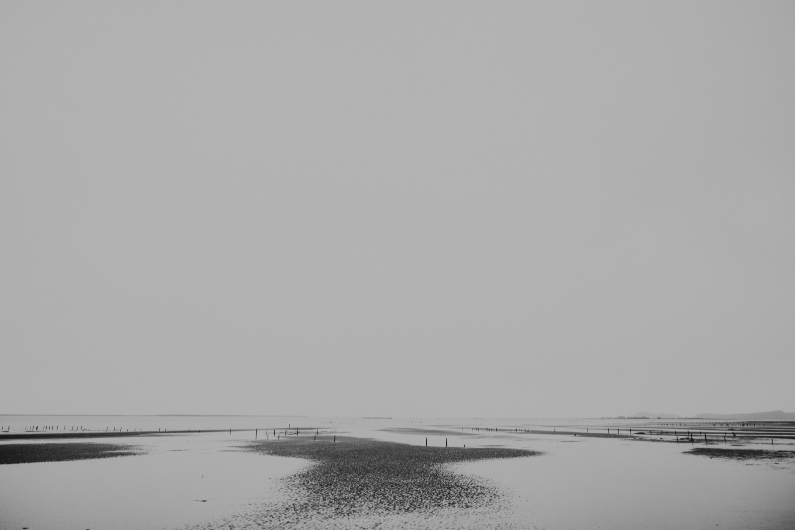 Tidal flat at low tide