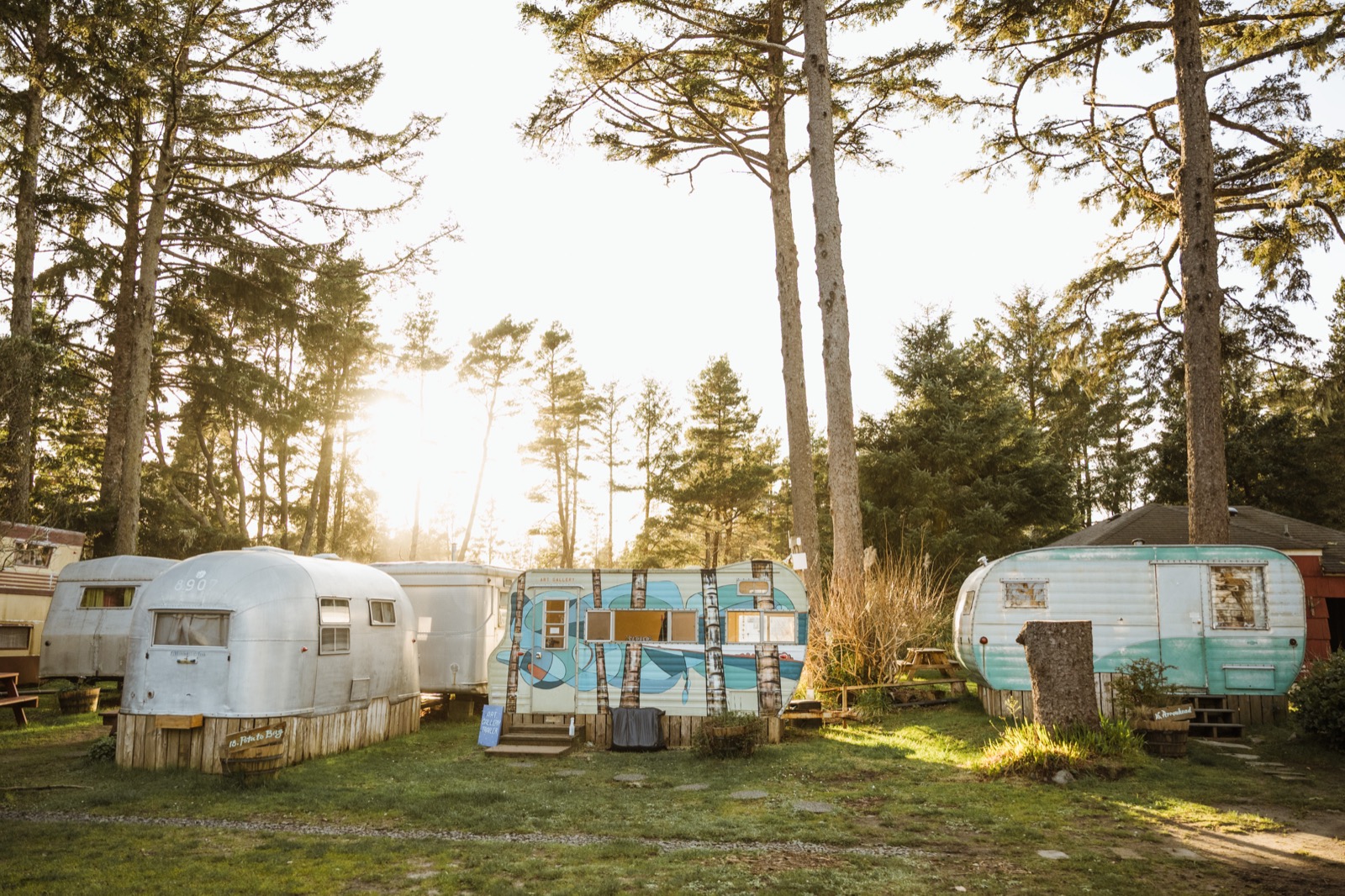 Vintage trailers among pines in golden light